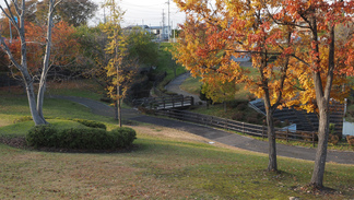 花巻市西大通りの公園風景