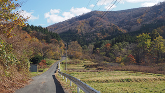 早池峰山麓の岳集落の山道の風景