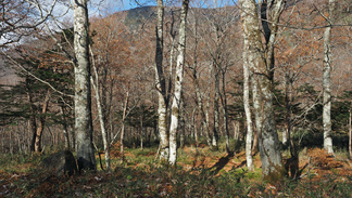 早池峰山河原の坊登山口周辺の風景