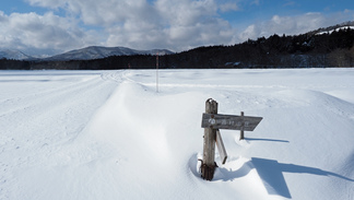 高村光太郎記念館と高村山荘へ向かう道の写真