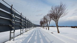 太田地内の農道の写真