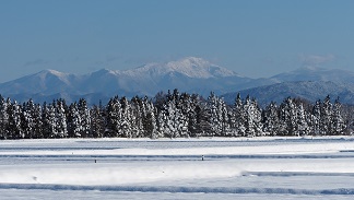 花巻市一本杉地内の雪の田んぼから撮った早池峰山の風景