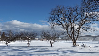 郊外の雪の風景写真（花巻市下似内） 