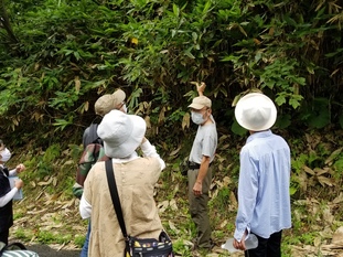 写真4：自然観察の様子