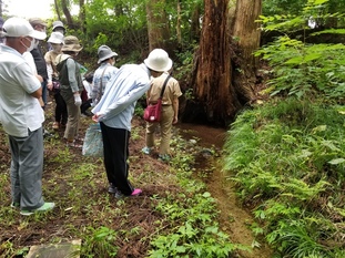 写真5：自然観察の様子