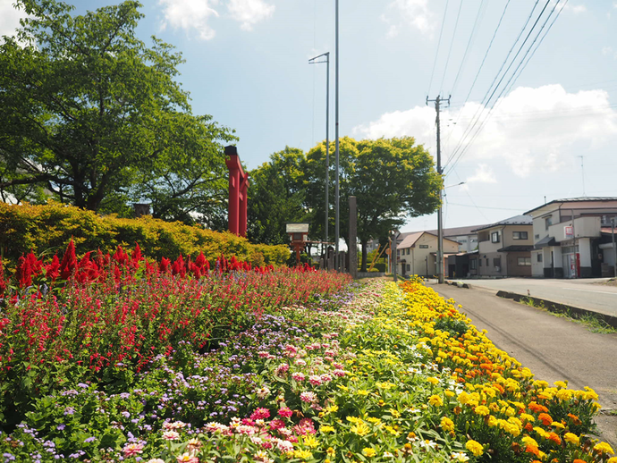 姥宿公民館「姥宿コミュニティ花壇」