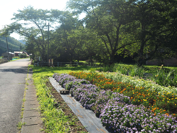 田中小空蔵自治公民館「ふれあい花壇」