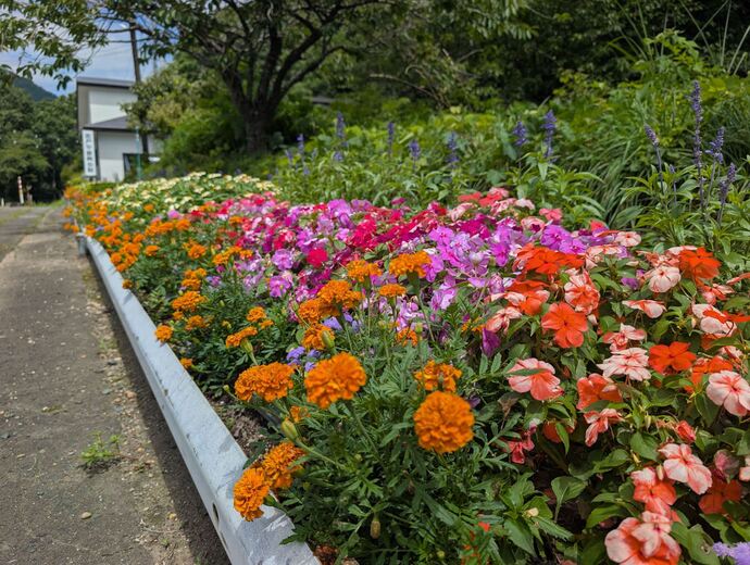 花壇の写真