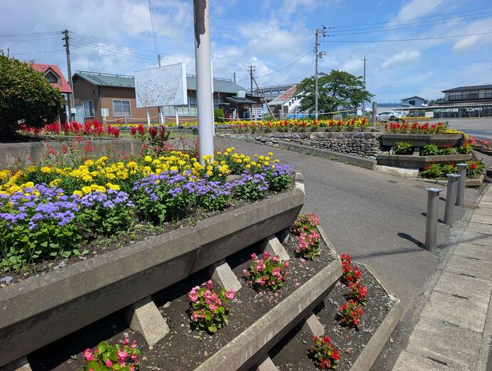 花壇の写真