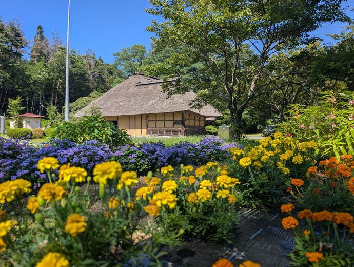 花壇の写真