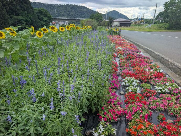 花壇の写真