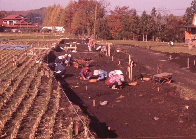 調査風景(昭和53年度)