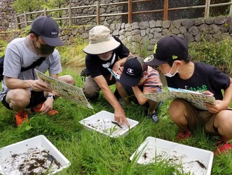 写真2水生生物を調べている様子