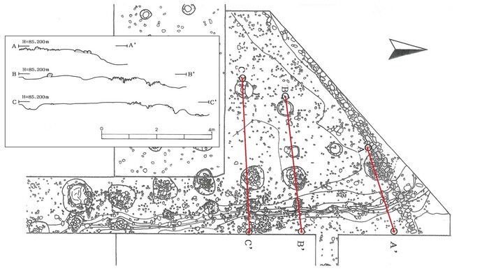 東側調査区で確認された土台列と構築面の高低差の図面