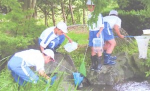 r5ビオトープ見学