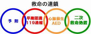 救命の連鎖 予防、早期認識・119番通報、心肺蘇生・AED、二次救命処置の画像