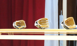 大谷グローブ