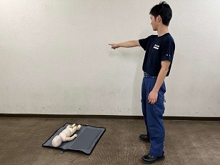 安全の確認