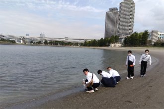 海岸の写真