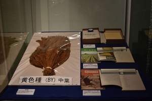 葉たばこ・黄色種（中葉）や耕作法について書かれた書籍類