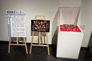 花巻市大迫町亀ケ森の小田遺跡から出土した遺物を紹介します