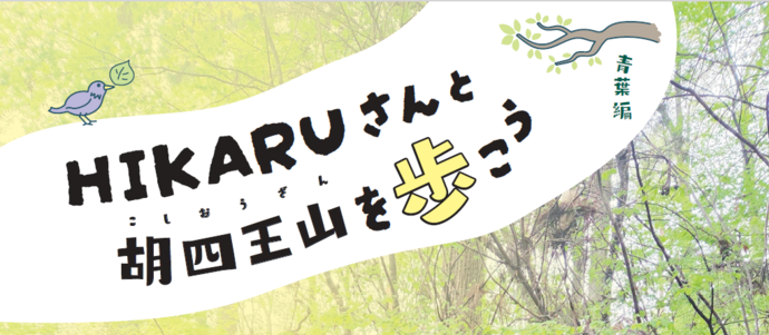 チラシ画像