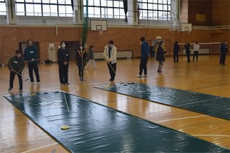 シャフルボード