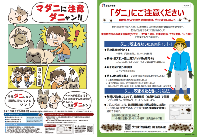 厚生労働省チラシ