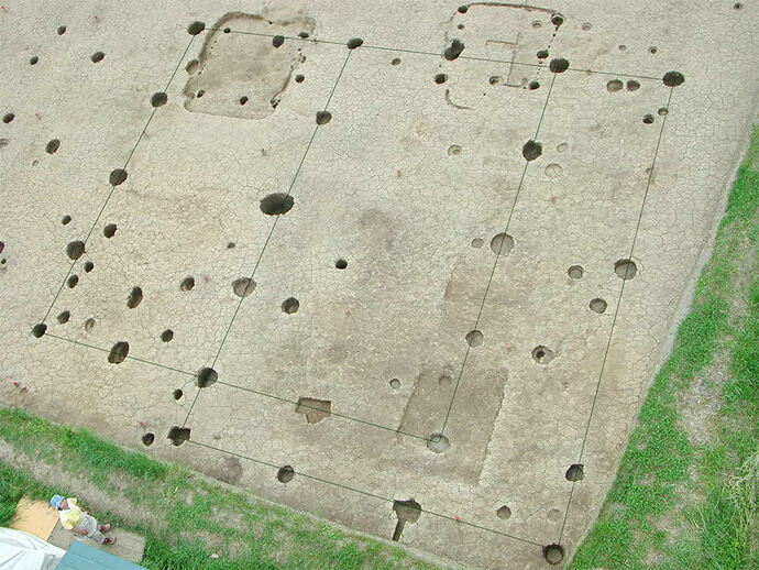 第1号掘立柱建物跡全景(2005年調査)です