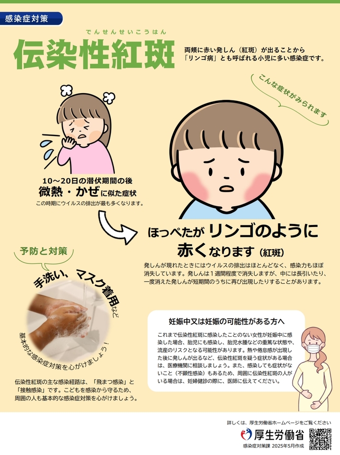 伝染性紅斑(厚生労働省)