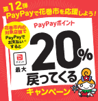 ペイペイキャンペーン12弾
