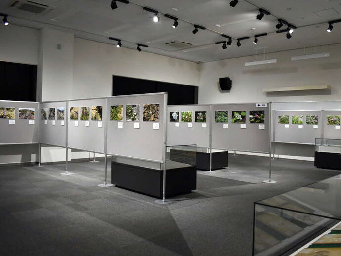 展示風景その1