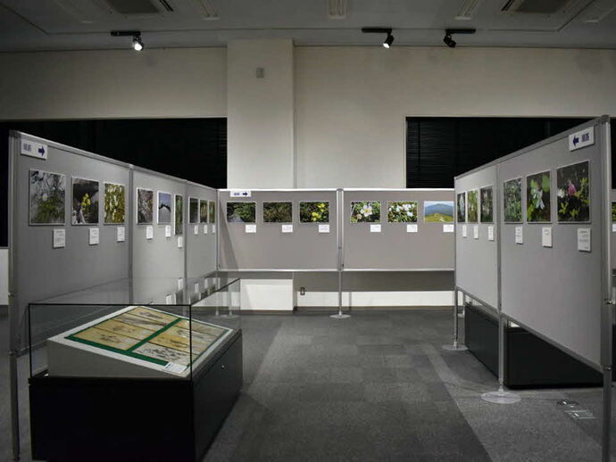 展示風景その2