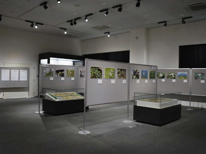 展示風景その3