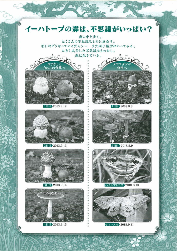 宮沢賢治童話の森写真展チラシ裏